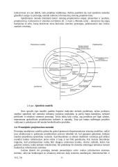 Informacinės sistemos kūrimas 12 puslapis