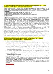 Išsami informacinių technologijų teorija 11 puslapis