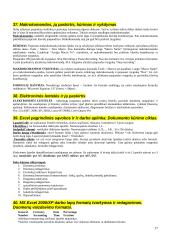 Išsami informacinių technologijų teorija 17 puslapis