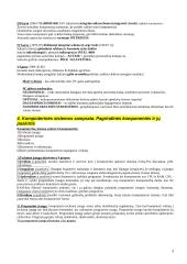 Išsami informacinių technologijų teorija 3 puslapis