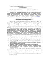 Platus pasiruošimas informatikos egzaminui 14 puslapis