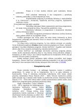 Platus pasiruošimas informatikos egzaminui 15 puslapis