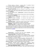 Platus pasiruošimas informatikos egzaminui 17 puslapis