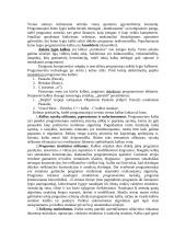 Platus pasiruošimas informatikos egzaminui 18 puslapis