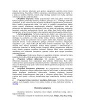 Platus pasiruošimas informatikos egzaminui 19 puslapis