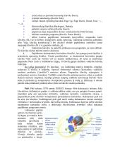 Platus pasiruošimas informatikos egzaminui 3 puslapis