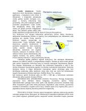 Platus pasiruošimas informatikos egzaminui 5 puslapis