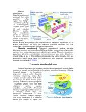 Platus pasiruošimas informatikos egzaminui 8 puslapis