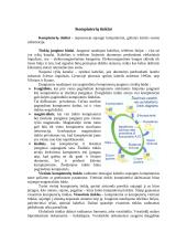 Platus pasiruošimas informatikos egzaminui 10 puslapis