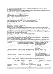 Inovacijų samprata ir pagrindinės sąvokos 11 puslapis