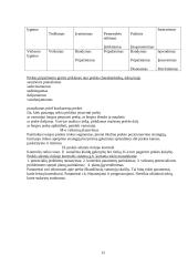 Inovacijų samprata ir pagrindinės sąvokos 12 puslapis