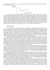 Investavimas ir finansų terpė 3 puslapis