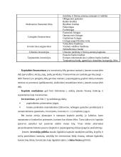 Įstaigų finansai 11 puslapis