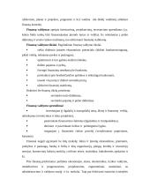 Įstaigų finansai 13 puslapis