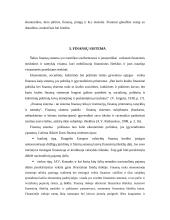 Įstaigų finansai 14 puslapis