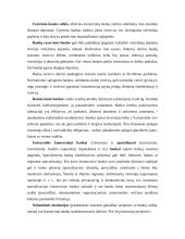 Įstaigų finansai 16 puslapis