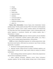 Įstaigų finansai 17 puslapis