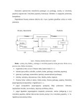 Įstaigų finansai 19 puslapis