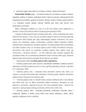 Įstaigų finansai 20 puslapis