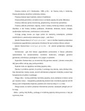 Įstaigų finansai 3 puslapis