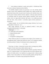 Įstaigų finansai 6 puslapis