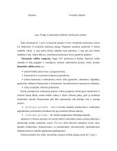 Įstaigų finansai 8 puslapis