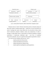 Įstaigų finansai 9 puslapis