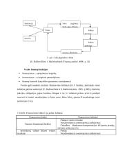 Įstaigų finansai 10 puslapis