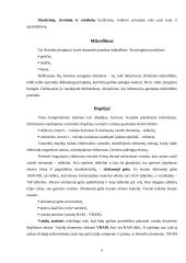 Išvedimo sistemos įrenginiai 11 puslapis