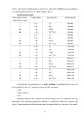 Išvedimo sistemos įrenginiai 12 puslapis