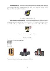 Išvedimo sistemos įrenginiai 15 puslapis