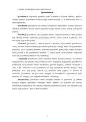 Išvedimo sistemos įrenginiai 3 puslapis