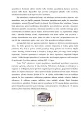 Išvedimo sistemos įrenginiai 6 puslapis