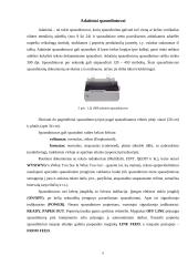 Išvedimo sistemos įrenginiai 9 puslapis