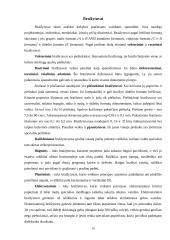 Išvedimo sistemos įrenginiai 10 puslapis