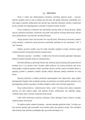 Išvestiniai vertybiniai popieriai (derivatives) 2 puslapis