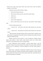 Išvestiniai vertybiniai popieriai (derivatives) 5 puslapis