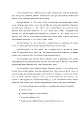 Išvestiniai vertybiniai popieriai (derivatives) 6 puslapis