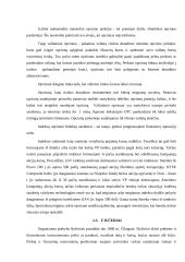 Išvestiniai vertybiniai popieriai (derivatives) 7 puslapis