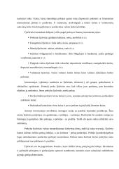 Išvestiniai vertybiniai popieriai (derivatives) 8 puslapis