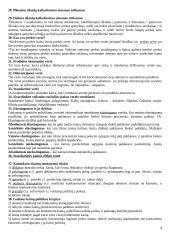 Kainodaros teorija 4 puslapis