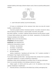 Kaip spręsti problemas? 14 puslapis