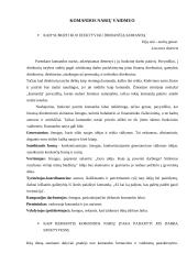 Kaip spręsti problemas? 8 puslapis