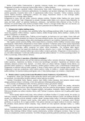 Kalbos filosofija 3 puslapis