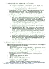 Kalbos filosofijos teorija 2 puslapis