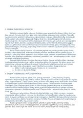 Kalbos filosofijos teorija 3 puslapis