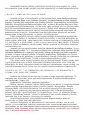 Kalbos filosofijos teorija 4 puslapis