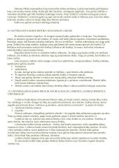 Kalbos filosofijos teorija 6 puslapis