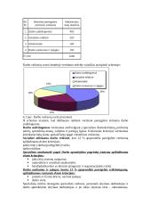 Kompensavimas už darbą 4 puslapis
