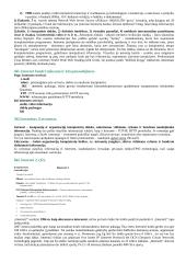 Kompiuterinė komunikacija 2 puslapis